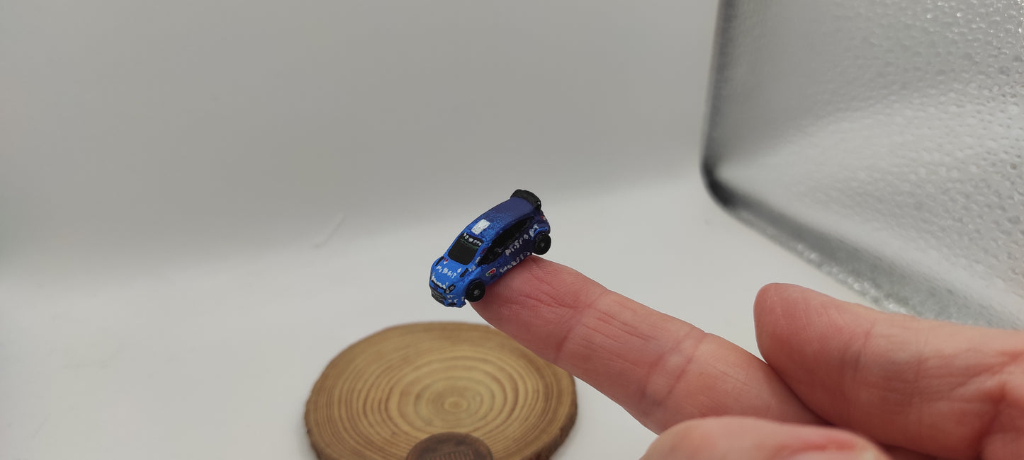 Miniatura gift for WRC Fans๐๐ . Ford Fiesta Rally, N scale, railways and dioramas, gifts, dollhouse, cakes DIY or handmade painted.