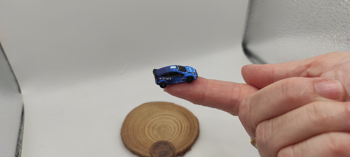 Miniatura gift for WRC Fans๐๐ . Ford Fiesta Rally, N scale, railways and dioramas, gifts, dollhouse, cakes DIY or handmade painted.