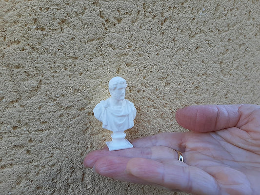 CUSTOM miniature ROMAN sculpture. Roman Emperor Antonino Pius  Bust.  Paint ready 3D printed.