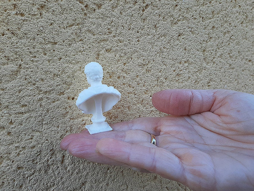 CUSTOM miniature ROMAN sculpture. Roman Emperor Antonino Pius  Bust.  Paint ready 3D printed.