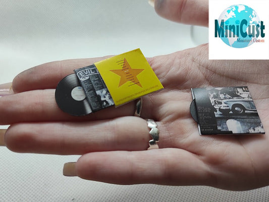 Miniature handmade fanart RAING AGAINST the MACHINE record Album collection 1:12th or 1/6 scale available